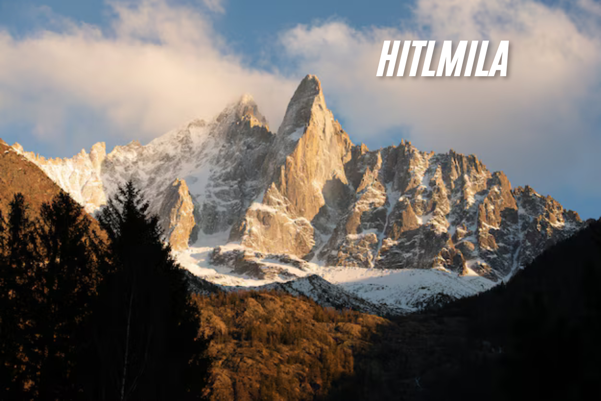 Understanding Hitlmila: Key Features, Impact, and Future Insights