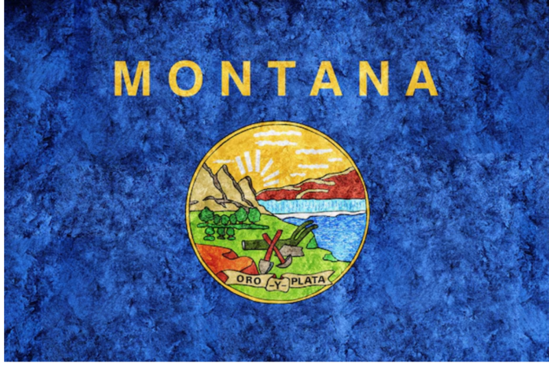 The Montana Flag: A Symbol of State Pride, Heritage, and Unity