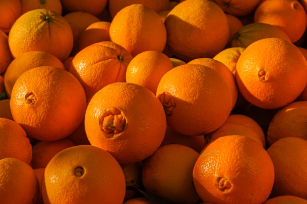 navel orange