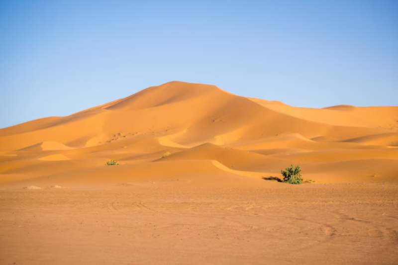 Unveiling the Magic of Desert Sand: Nature’s Golden Mystery