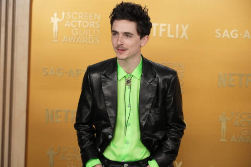 Timothee Chalamet: A Rising Star in Hollywood